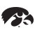 Iowa Hawkeyes